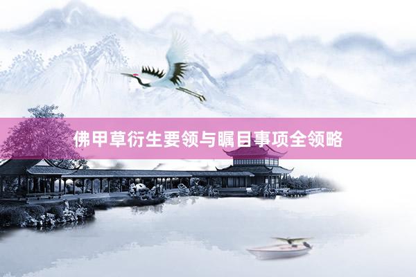 佛甲草衍生要领与瞩目事项全领略