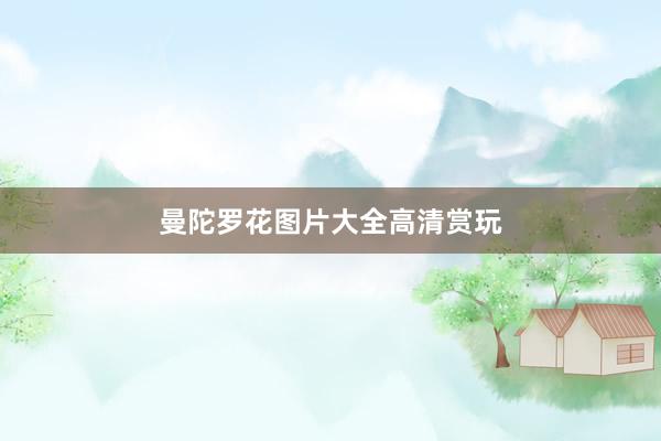 曼陀罗花图片大全高清赏玩