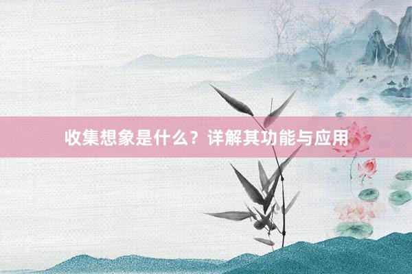 收集想象是什么?详解其功能与应用